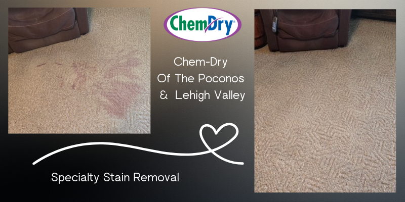 2026 - 800x400 px Before & After photos for website - Specialty Stain Removal.png 2026 - 800x400 px Before & After photos for website - Specialty Stain Removal.png